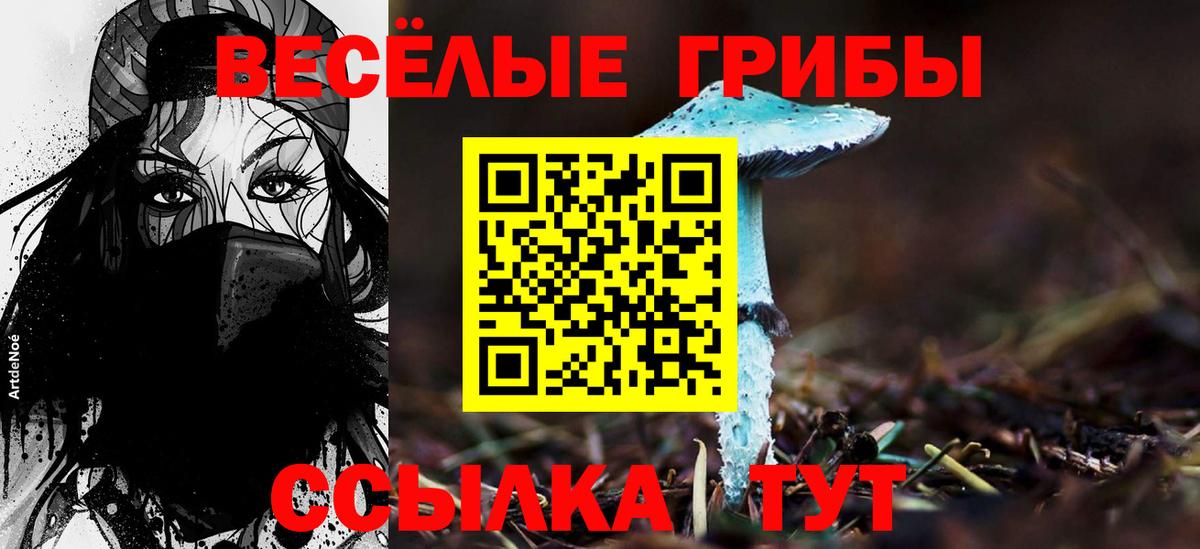 Галлюциногенные грибы GOLDEN TEACHER  Галлюциногенные грибы Magic Shrooms  Севастополь  где найти наркотики  Вход с VPN 
